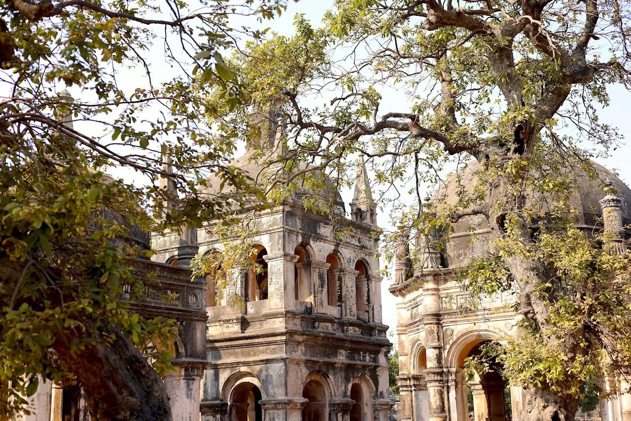 Gujarat3_1268