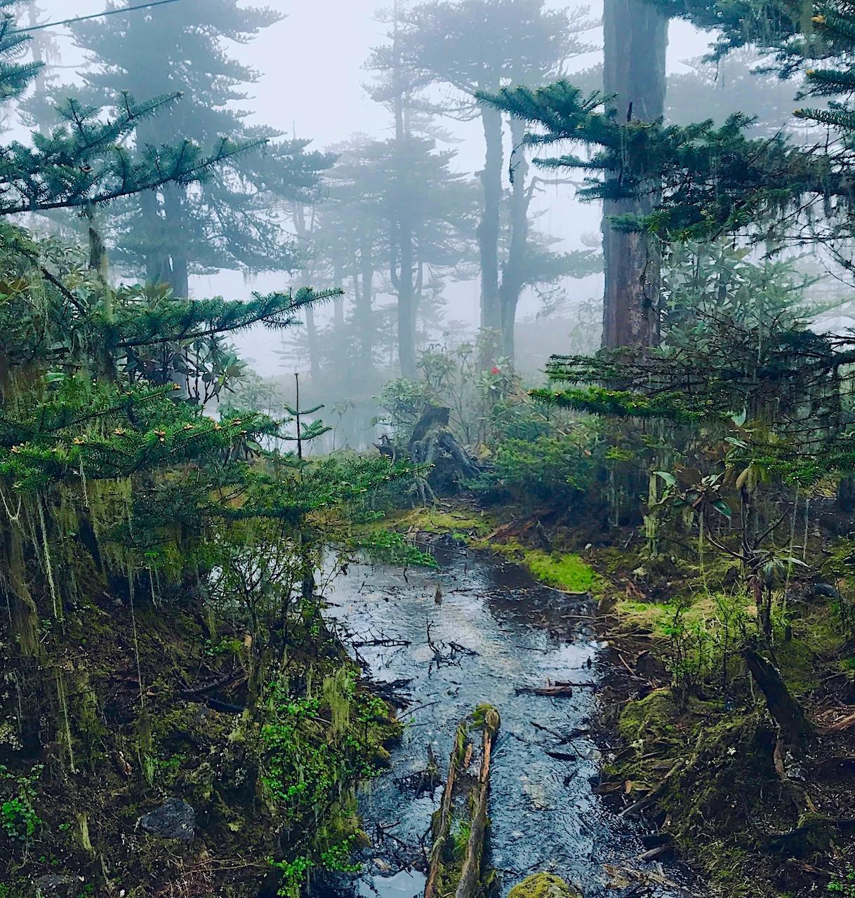 arunachal2_7795