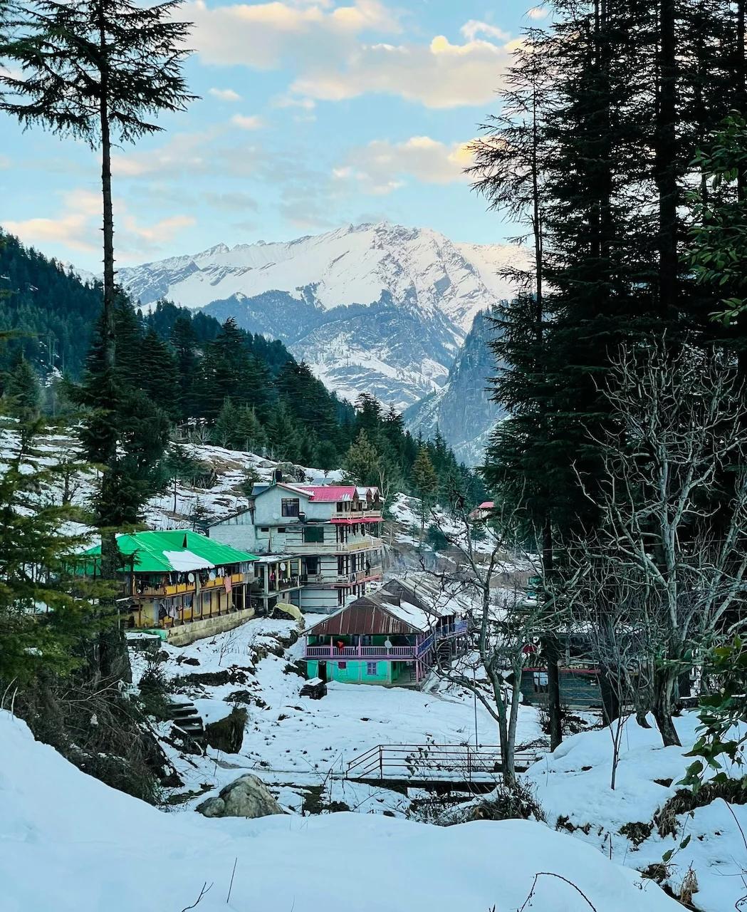 shimla1_4894