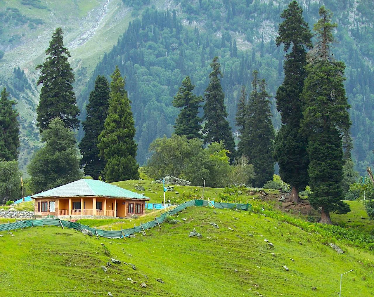 Manali11_6453