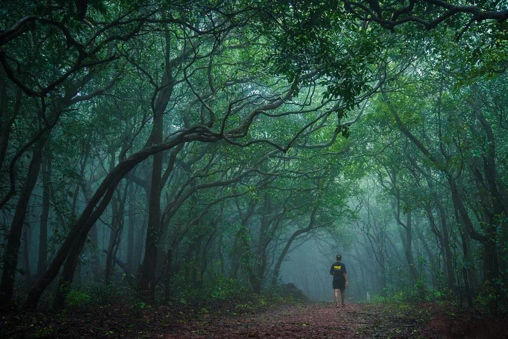 Matheran_in_monsoon_6229