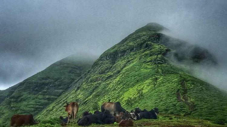 Brahmagiri Hills, Nashik | View Point, Trekking, River