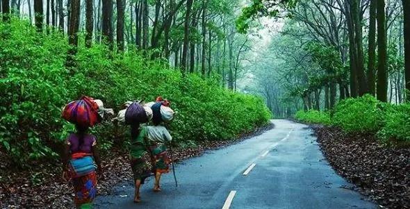 netarhat_jharkhand_tourism_8476