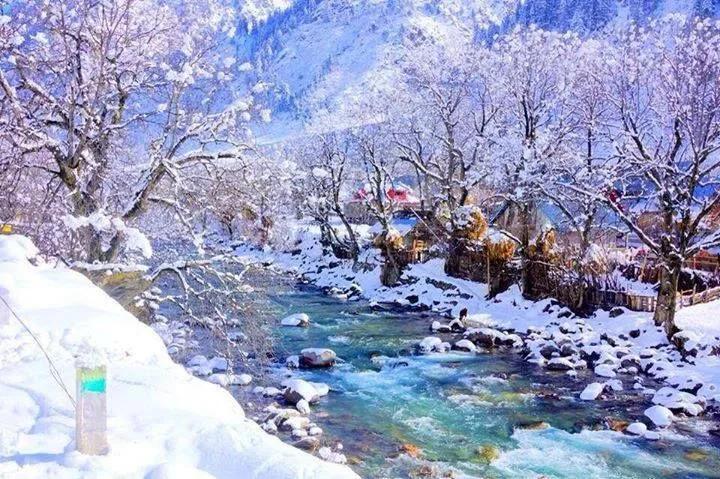 Enchanting_Kashmir_Trip_1652083703758.jpg